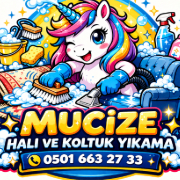 Mucize Halı ve Koltuk Yıkama
